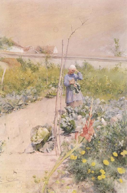 Carl Larsson In the Kitchen Garden